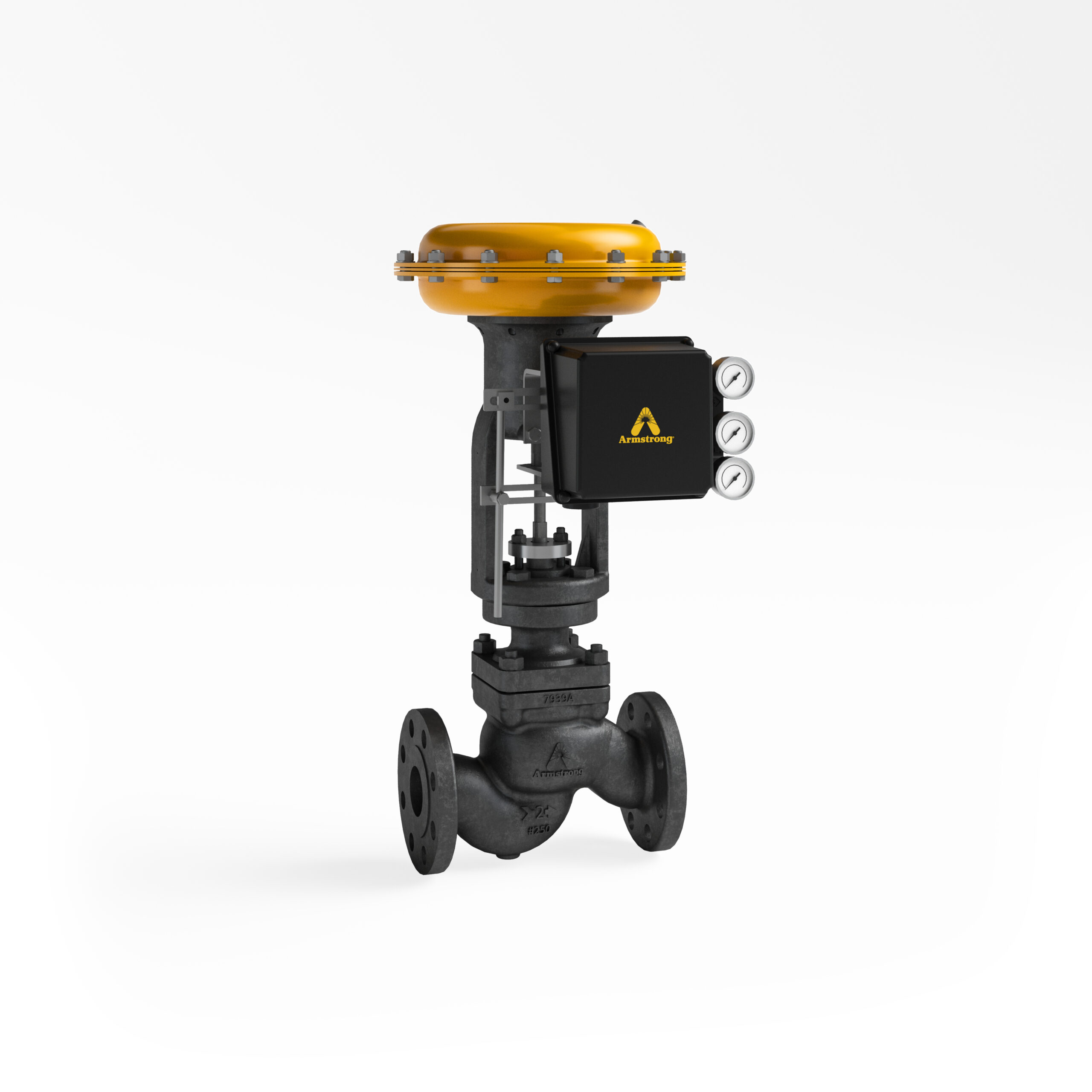 DLO<sup>&trade;</sup> General Service Globe Valve